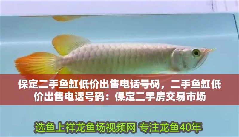 保定二手魚缸低價出售電話號碼，二手魚缸低價出售電話號碼：保定二手房交易市場