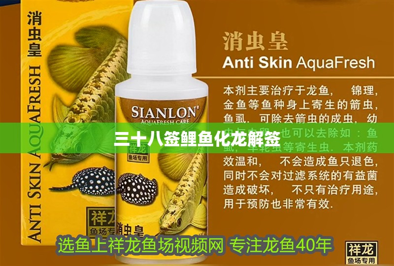 三十八簽鯉魚化龍解簽