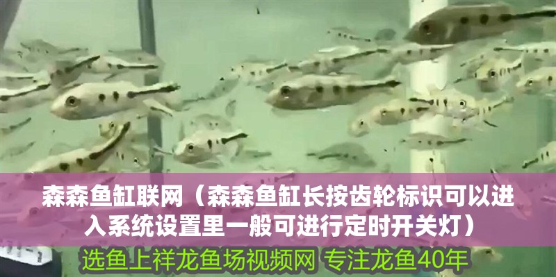 森森魚缸聯網（森森魚缸長按齒輪標識可以進入系統設置里一般可進行定時開關燈）