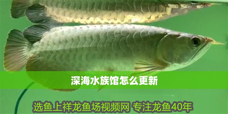 深海水族館怎么更新 深海水族館怎么更新 龍魚論壇