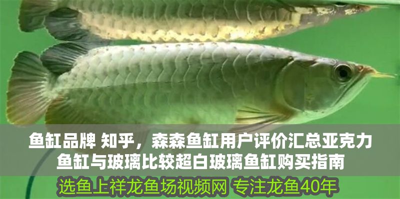 魚缸品牌 知乎，森森魚缸用戶評價匯總亞克力魚缸與玻璃比較超白玻璃魚缸購買指南