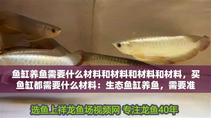 魚缸養(yǎng)魚需要什么材料和材料和材料和材料，買魚缸都需要什么材料：生態(tài)魚缸養(yǎng)魚，需要準(zhǔn)備哪些裝備