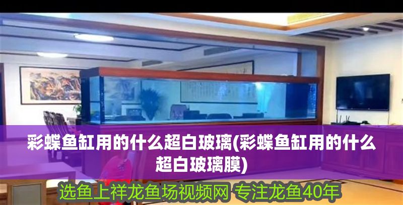 彩蝶魚缸用的什么超白玻璃(彩蝶魚缸用的什么超白玻璃膜)