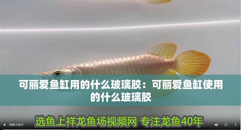可麗愛魚缸用的什么玻璃膠：可麗愛魚缸使用的什么玻璃膠