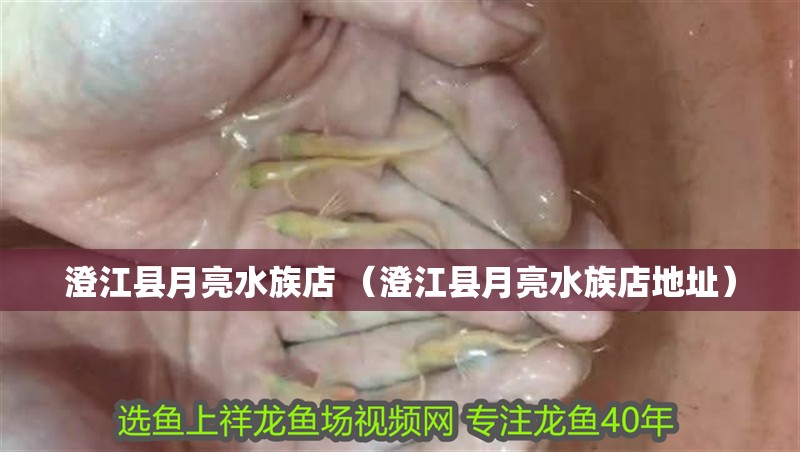 魚缸用增氧泵價格是多少:魚缸增氧機-xtrac增氧機-xtrac增氧機 澄江縣月亮水族店 (澄江縣月亮水族店地址) 全國水族館企業名錄 澄江縣月亮水族店 (澄江縣月亮水族店地址) 澄江縣月亮水族店 (澄江縣月亮水族店地址) 全國水族館企業名錄