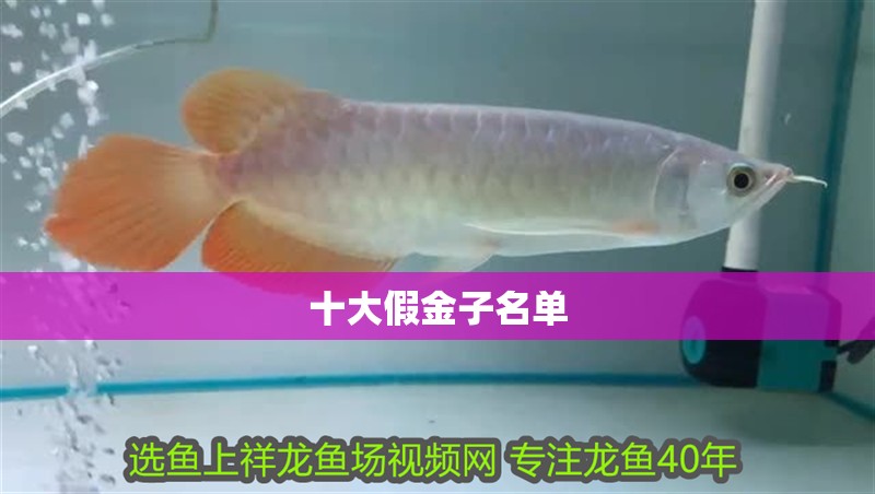 魚缸用增氧泵價格是多少:魚缸增氧機-xtrac增氧機-xtrac增氧機 十大假金子名單 龍魚論壇 十大假金子名單 十大假金子名單 龍魚論壇