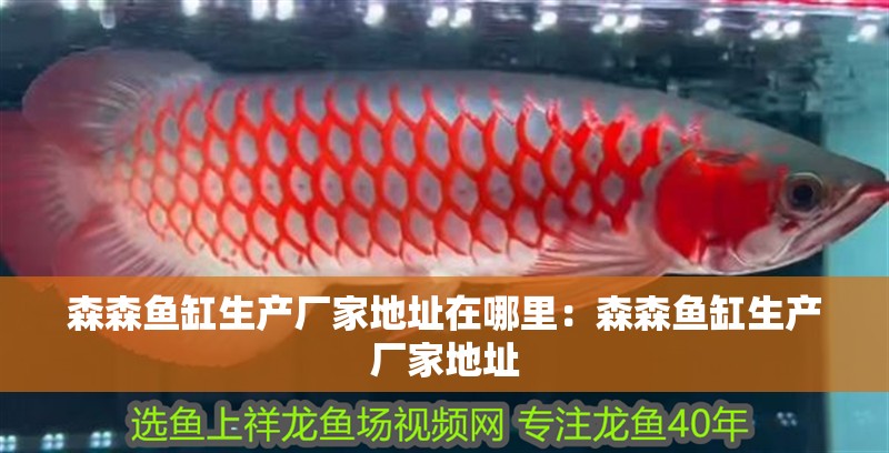 森森魚缸生產廠家地址在哪里：森森魚缸生產廠家地址