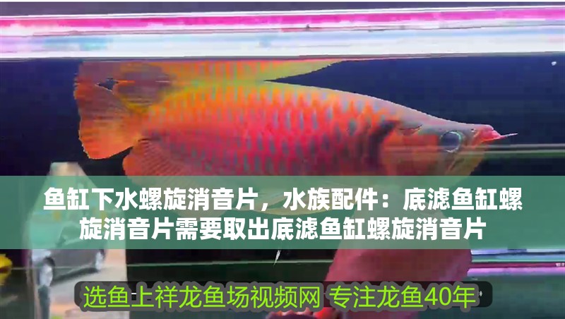 魚缸下水螺旋消音片，水族配件：底濾魚缸螺旋消音片需要取出底濾魚缸螺旋消音片 魚缸下水螺旋消音片，水族配件：底濾魚缸螺旋消音片需要取出底濾魚缸螺旋消音片 魚缸百科