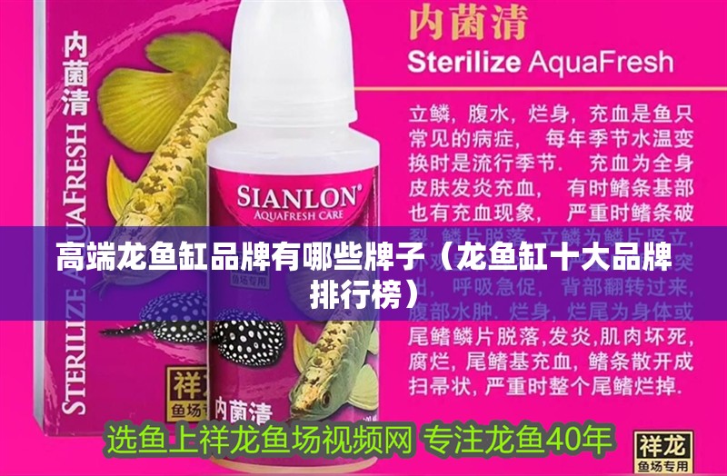 高端龍魚缸品牌有哪些牌子（龍魚缸十大品牌排行榜）