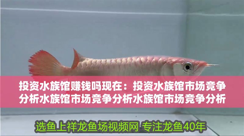 投資水族館賺錢嗎現在:投資水族館市場競爭分析水族館市場競爭分析水族館市場競爭分析 水族館百科(水族館加盟) 第1張 投資水族館賺錢嗎現在:投資水族館市場競爭分析水族館市場競爭分析水族館市場競爭分析 投資水族館賺錢嗎現在:投資水族館市場競爭分析水族館市場競爭分析水族館市場競爭分析 水族館百科(水族館加盟) 第1張