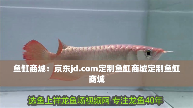 魚缸商城：京東jd.com定制魚缸商城定制魚缸商城