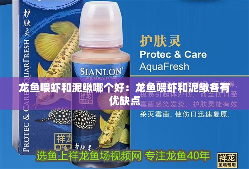 龍魚喂蝦和泥鰍哪個好：龍魚喂蝦和泥鰍各有優缺點 龍魚喂蝦和泥鰍哪個好：龍魚喂蝦和泥鰍各有優缺點 龍魚百科