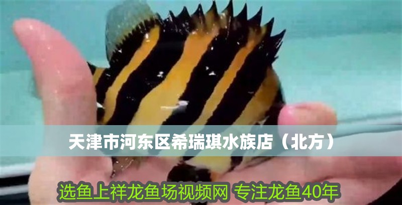 魚(yú)缸過(guò)濾器選購(gòu)指南:自制魚(yú)缸過(guò)濾器魚(yú)缸上置過(guò)濾器對(duì)于養(yǎng)魚(yú)愛(ài)好者的必備知識(shí) 天津市河?xùn)|區(qū)希瑞琪水族店(北方) 全國(guó)水族館企業(yè)名錄 天津市河?xùn)|區(qū)希瑞琪水族店(北方) 天津市河?xùn)|區(qū)希瑞琪水族店(北方) 全國(guó)水族館企業(yè)名錄