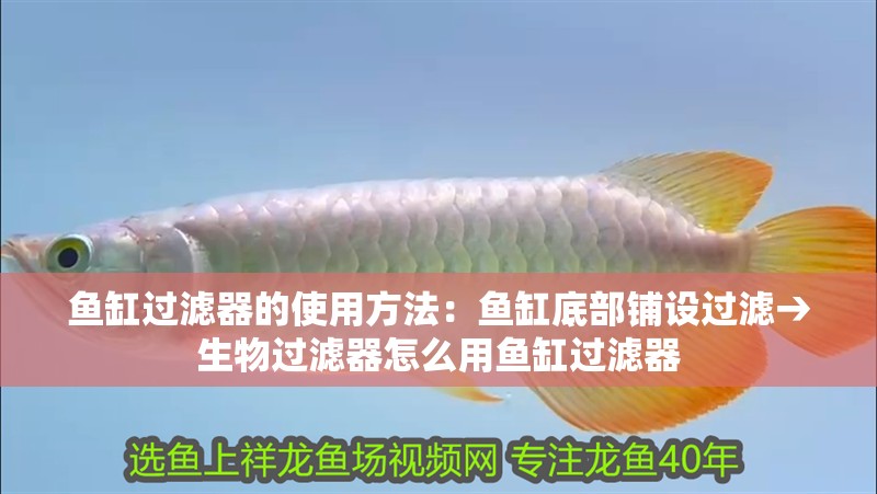 魚缸過濾器的使用方法：魚缸底部鋪設過濾→生物過濾器怎么用魚缸過濾器