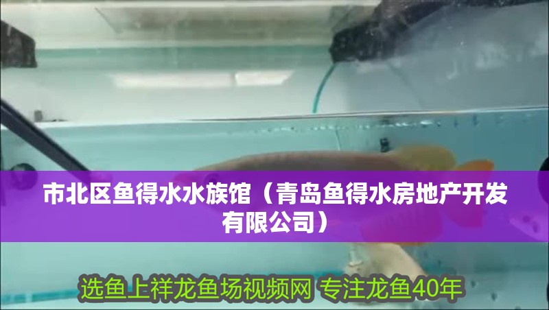 市北區(qū)魚得水水族館（青島魚得水房地產(chǎn)開發(fā)有限公司）