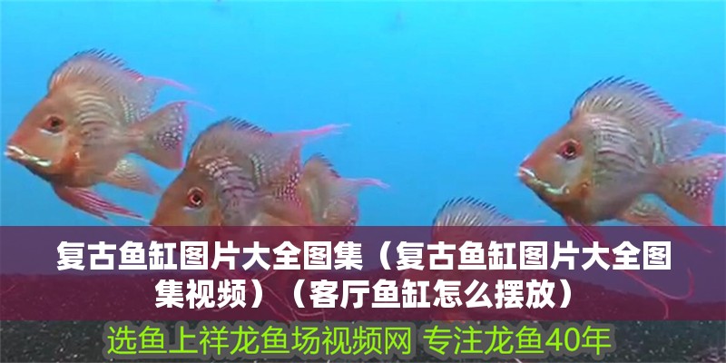 復古魚缸圖片大全圖集（復古魚缸圖片大全圖集視頻）（客廳魚缸怎么擺放）