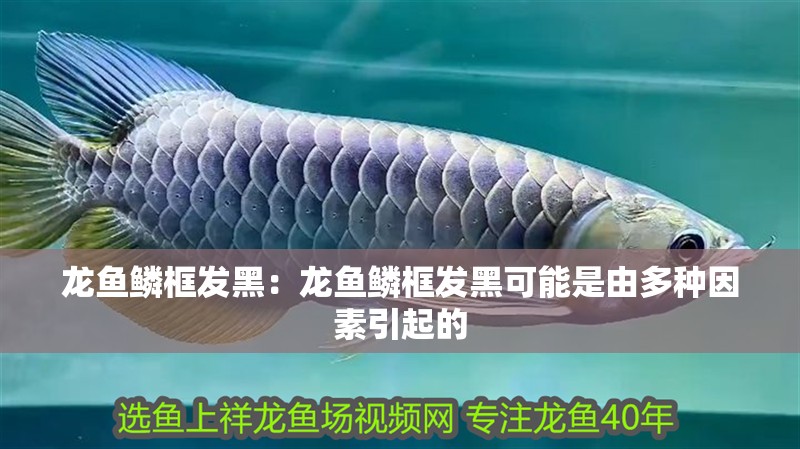 龍魚鱗框發(fā)黑：龍魚鱗框發(fā)黑可能是由多種因素引起的