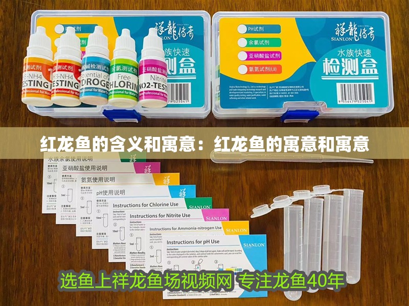 紅龍魚的含義和寓意：紅龍魚的寓意和寓意