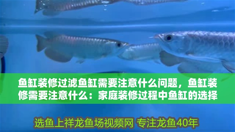 魚缸裝修過濾魚缸需要注意什么問題，魚缸裝修需要注意什么：家庭裝修過程中魚缸的選擇 魚缸裝修過濾魚缸需要注意什么問題，魚缸裝修需要注意什么：家庭裝修過程中魚缸的選擇 魚缸百科