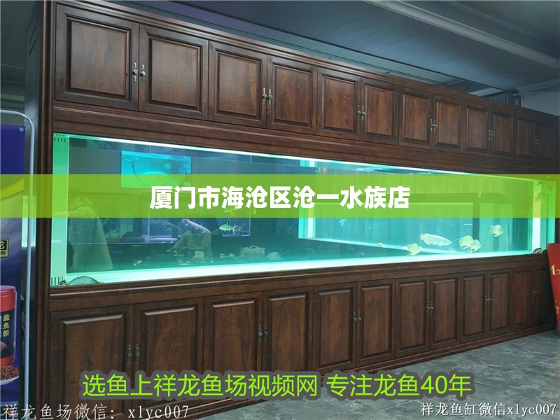 魚缸過濾器選購指南:自制魚缸過濾器魚缸上置過濾器對于養魚愛好者的必備知識 廈門市海滄區滄一水族店 全國水族館企業名錄 廈門市海滄區滄一水族店 廈門市海滄區滄一水族店 全國水族館企業名錄