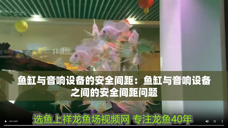 魚(yú)缸與音響設(shè)備的安全間距：魚(yú)缸與音響設(shè)備之間的安全間距問(wèn)題 魚(yú)缸與音響設(shè)備的安全間距：魚(yú)缸與音響設(shè)備之間的安全間距問(wèn)題 魚(yú)缸百科