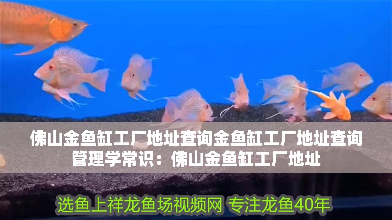 佛山金魚缸工廠地址查詢金魚缸工廠地址查詢管理學常識：佛山金魚缸工廠地址