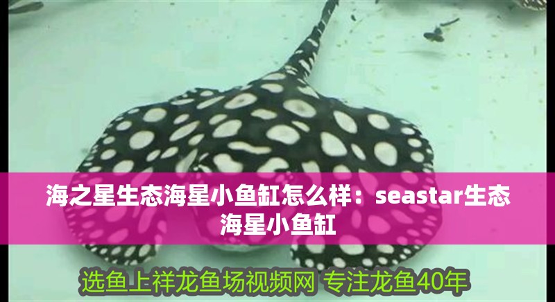 海之星生態海星小魚缸怎么樣：seastar生態海星小魚缸