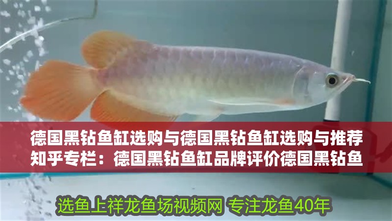 德國(guó)黑鉆魚缸選購(gòu)與德國(guó)黑鉆魚缸選購(gòu)與推薦知乎專欄：德國(guó)黑鉆魚缸品牌評(píng)價(jià)德國(guó)黑鉆魚缸質(zhì)量怎么樣