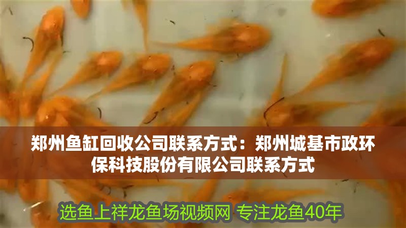 鄭州魚缸回收公司聯(lián)系方式：鄭州城基市政環(huán)保科技股份有限公司聯(lián)系方式