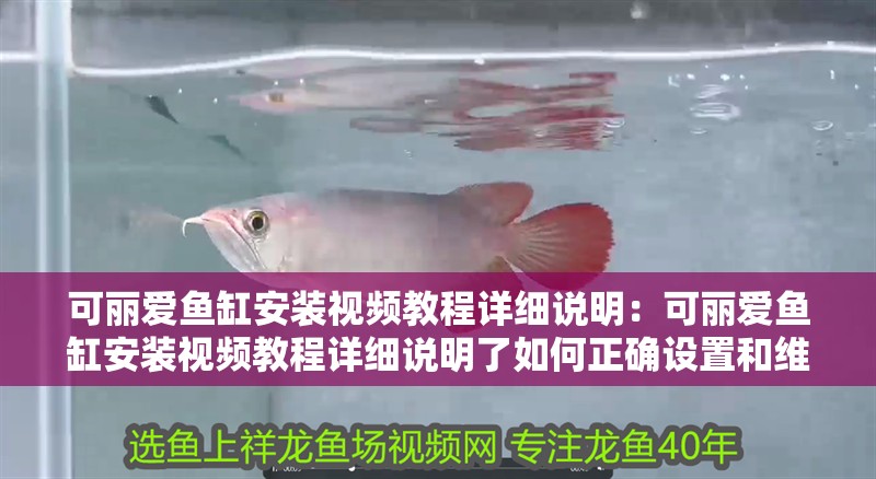 可麗愛魚缸安裝視頻教程詳細說明：可麗愛魚缸安裝視頻教程詳細說明了如何正確設(shè)置和維護魚缸