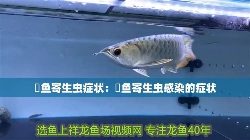 魟魚寄生蟲癥狀：魟魚寄生蟲感染的癥狀