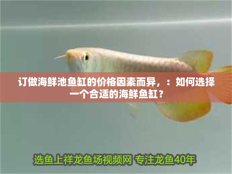 訂做海鮮池魚缸的價格因素而異，：如何選擇一個合適的海鮮魚缸？