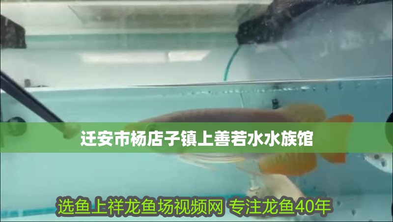 遷安市楊店子鎮上善若水水族館