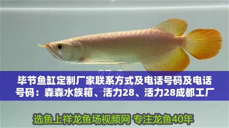 畢節魚缸定制廠家聯系方式及電話號碼及電話號碼：森森水族箱、活力28、活力28成都工廠
