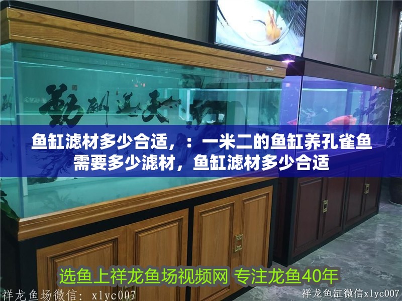魚缸濾材多少合適，：一米二的魚缸養(yǎng)孔雀魚需要多少濾材，魚缸濾材多少合適