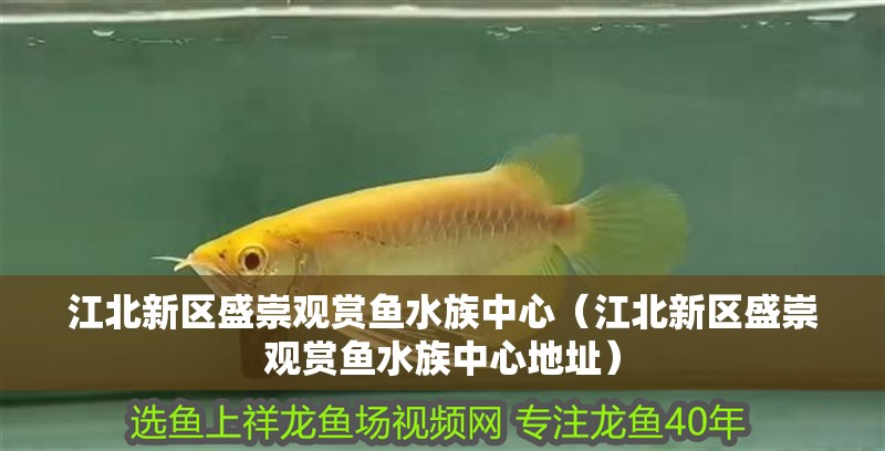 <strong><mark>江北</mark></strong>新區盛崇觀賞魚水族中心（<strong><mark>江北</mark></strong>新區盛崇觀賞魚水族中心地址）