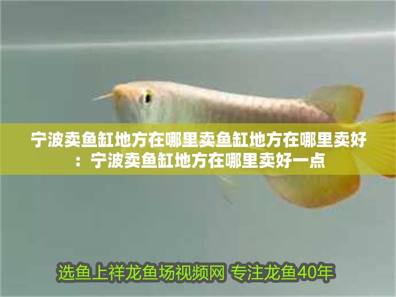 寧波賣魚(yú)缸地方在哪里賣魚(yú)缸地方在哪里賣好：寧波賣魚(yú)缸地方在哪里賣好一點(diǎn)