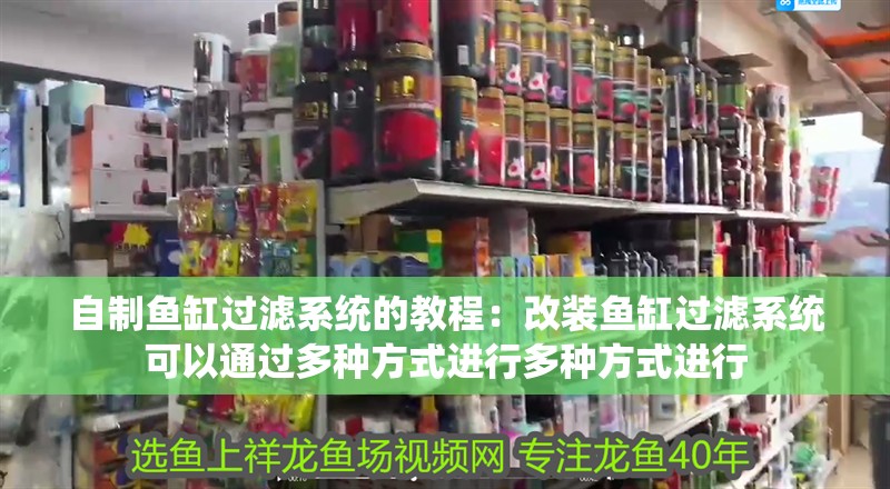 自制魚缸過濾系統的教程：改裝魚缸過濾系統可以通過多種方式進行多種方式進行 自制魚缸過濾系統的教程：改裝魚缸過濾系統可以通過多種方式進行多種方式進行 魚缸百科