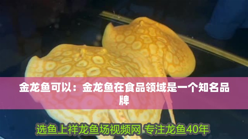 金龍魚可以：金龍魚在食品領域是一個知名品牌