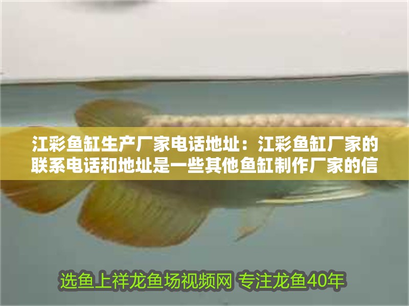 江彩魚缸生產廠家電話地址：江彩魚缸廠家的聯系電話和地址是一些其他魚缸制作廠家的信息