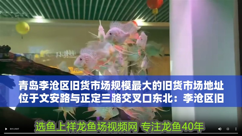 青島李滄區舊貨市場規模最大的舊貨市場地址位于文安路與正定三路交叉口東北：李滄區舊貨市場