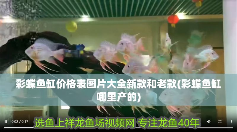 彩蝶魚缸價格表圖片大全新款和老款(彩蝶魚缸哪里產的)