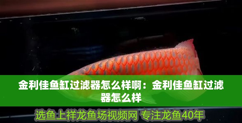 金利佳魚缸過濾器怎么樣啊：金利佳魚缸過濾器怎么樣
