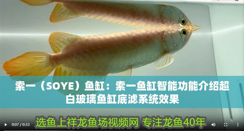 索一（SOYE）魚缸：索一魚缸智能功能介紹超白玻璃魚缸底濾系統效果 索一（SOYE）魚缸：索一魚缸智能功能介紹超白玻璃魚缸底濾系統效果 魚缸百科