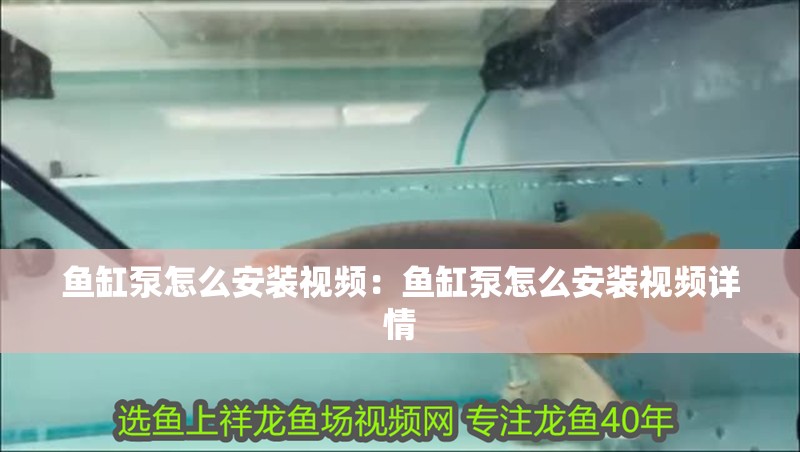 魚缸泵怎么安裝視頻：魚缸泵怎么安裝視頻詳情