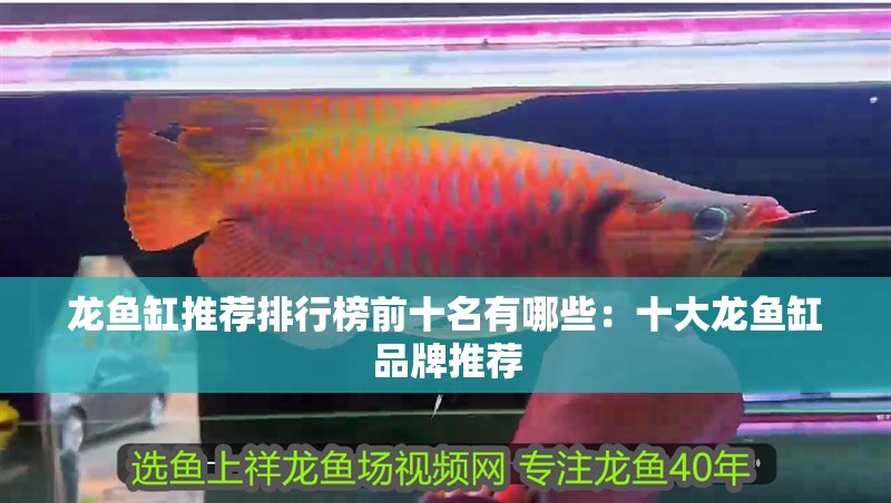 龍魚缸推薦排行榜前十名有哪些：十大龍魚缸品牌推薦 龍魚缸推薦排行榜前十名有哪些：十大龍魚缸品牌推薦 魚缸百科