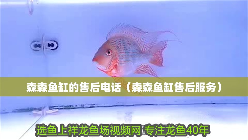 森森魚缸的售后電話（森森魚缸售后服務(wù)）