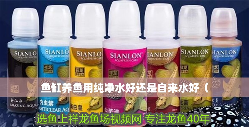 魚缸養魚用純凈水好還是自來水好（ 魚缸養魚用純凈水好還是自來水好（ 魚缸百科