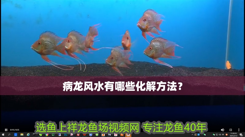病龍風水有哪些化解方法？