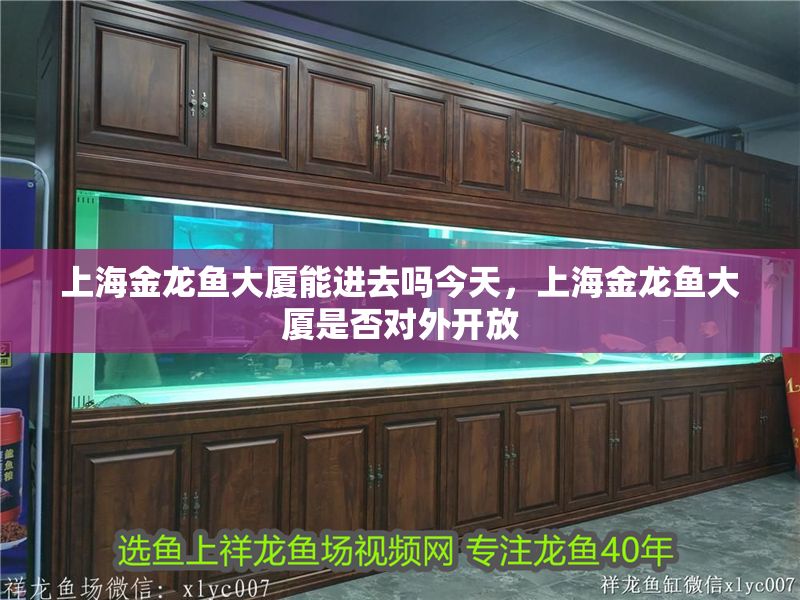 上海金龍魚大廈能進去嗎今天，上海金龍魚大廈是否對外開放